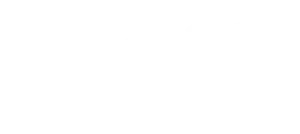 Behavior Ventures logo