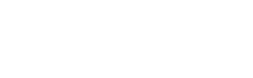 Kansas Behavior Supports logo