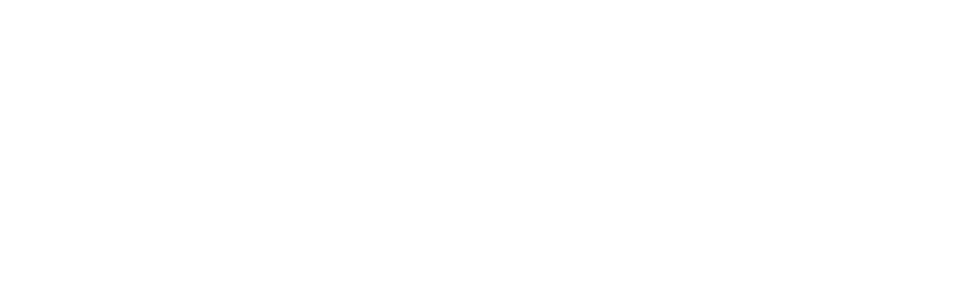 Nebraska Behavioral Support logo