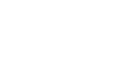 Net60 logo